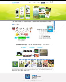 网站设计与网页制作 从构思到实现的艺术与科学